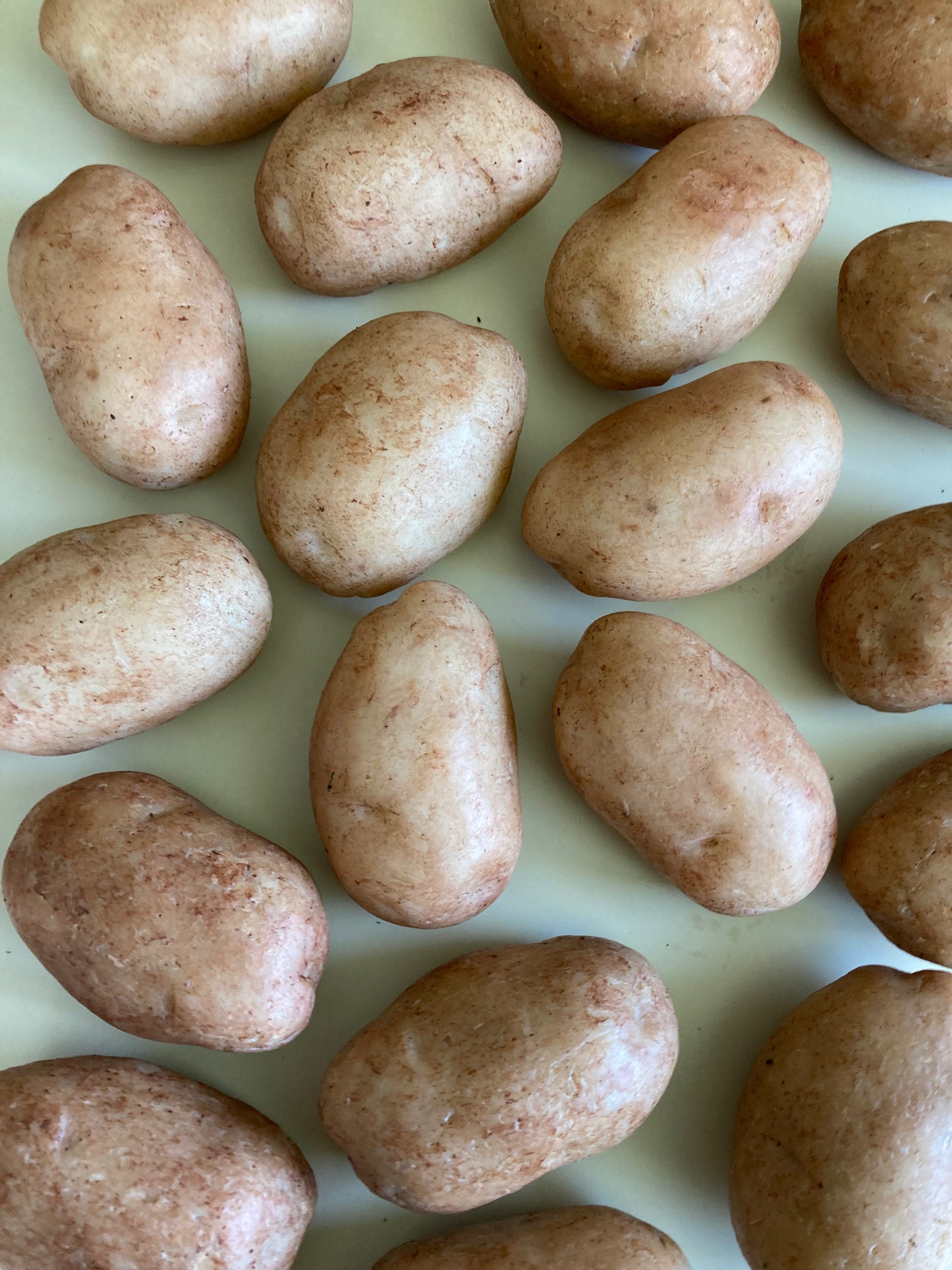 Great Idaho Potato Soap